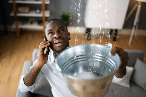 Best Professional water damage repair  in Ocean Grove, NJ