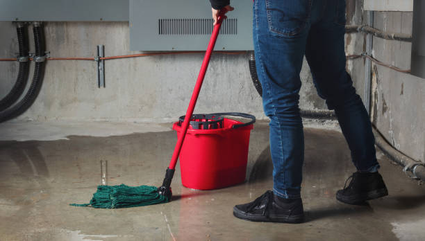 Best Mold removal after water damage  in Ocean Grove, NJ