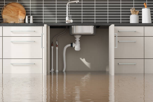Best 24-hour water damage restoration  in Ocean Grove, NJ