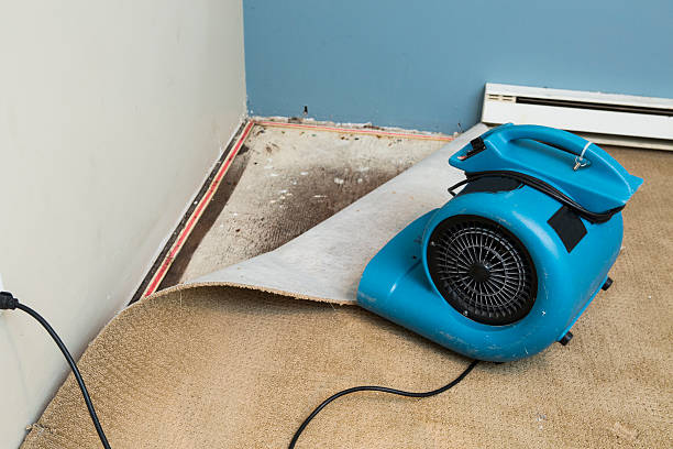 Best Flood damage cleanup  in Ocean Grove, NJ